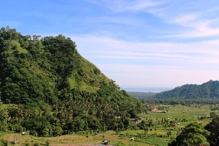 pemandangan_sawah_di_brine_440